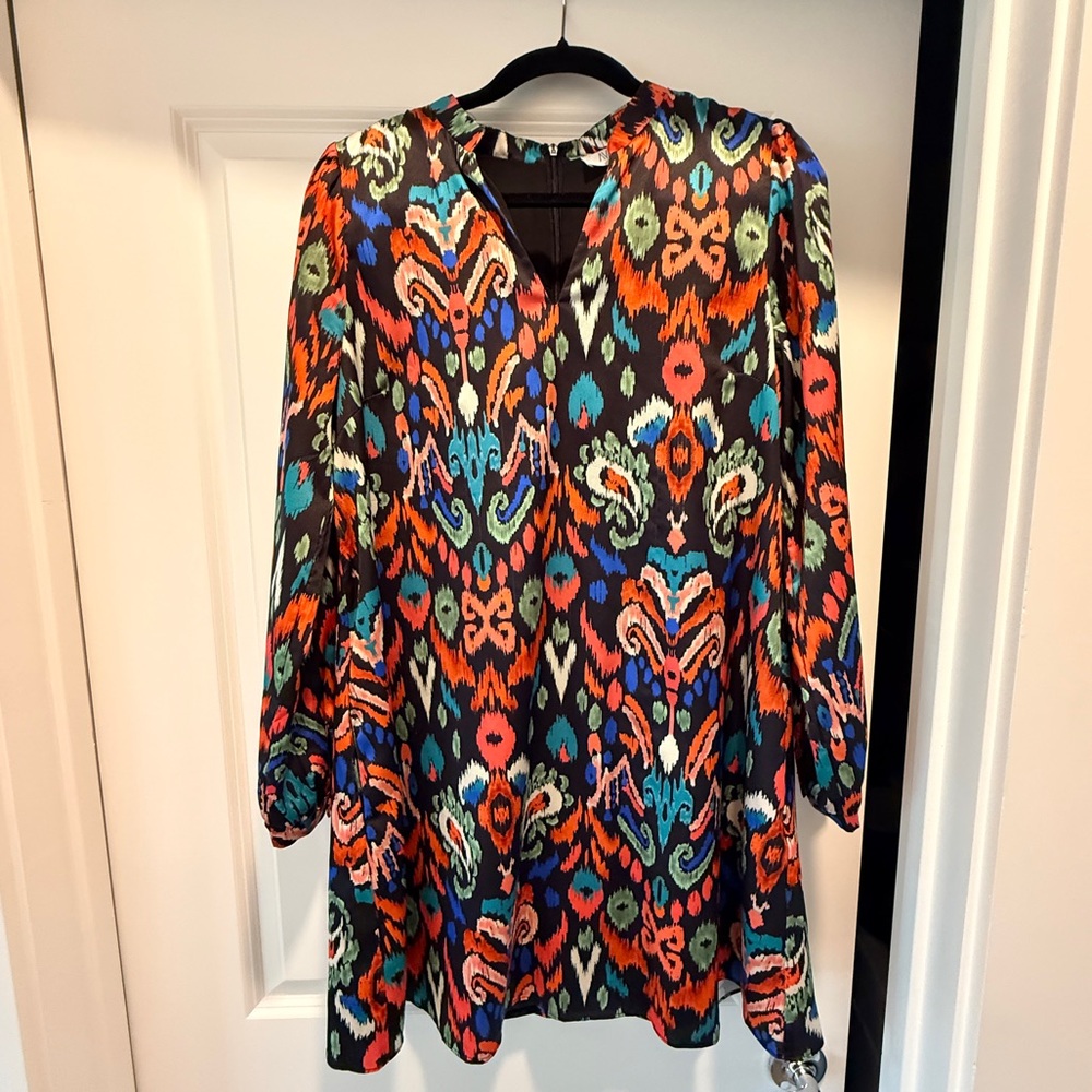 Avara Women’s Multicolor Printed Long Sleeve Dress